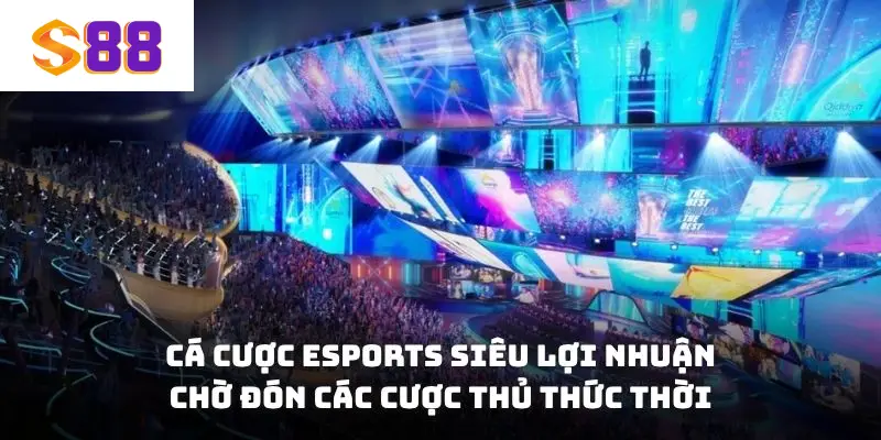 Cá cược Esports siêu lợi nhuận chờ đón các cược thủ thức thời