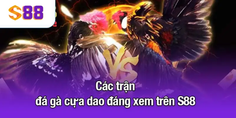 Các trận đá gà cựa dao đáng xem trên S88