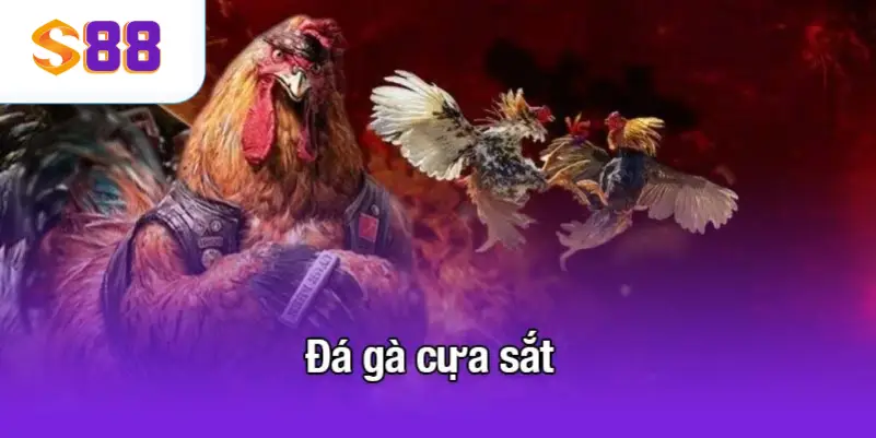 Đá gà cựa sắt