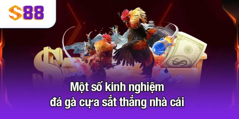 Một số kinh nghiệm đá gà cựa sắt thắng nhà cái