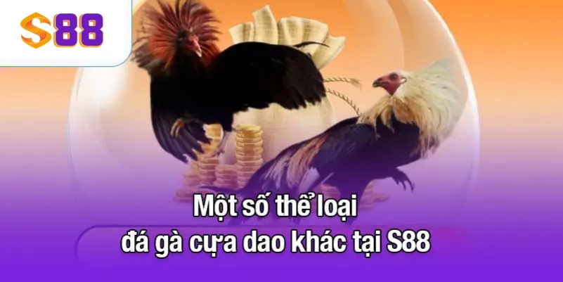 Một số thể loại đá gà cựa dao khác tại S88