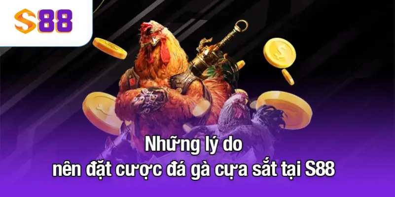 Những lý do nên đặt cược đá gà cựa sắt tại S88VIP