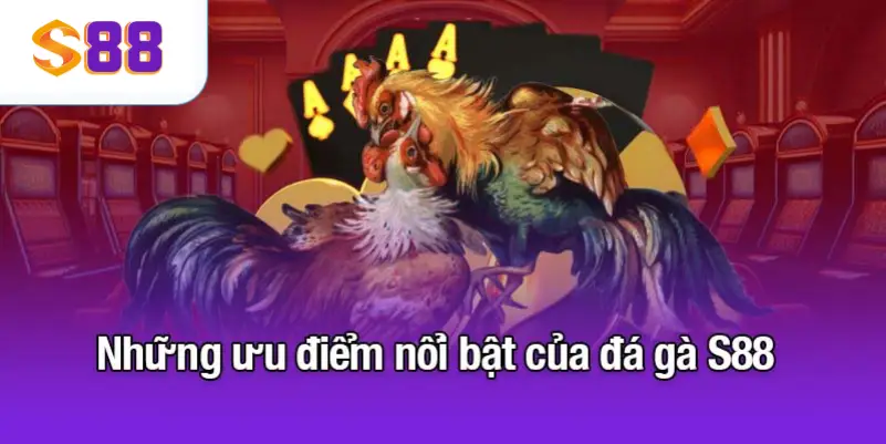 Những ưu điểm nổi bật của đá gà S88