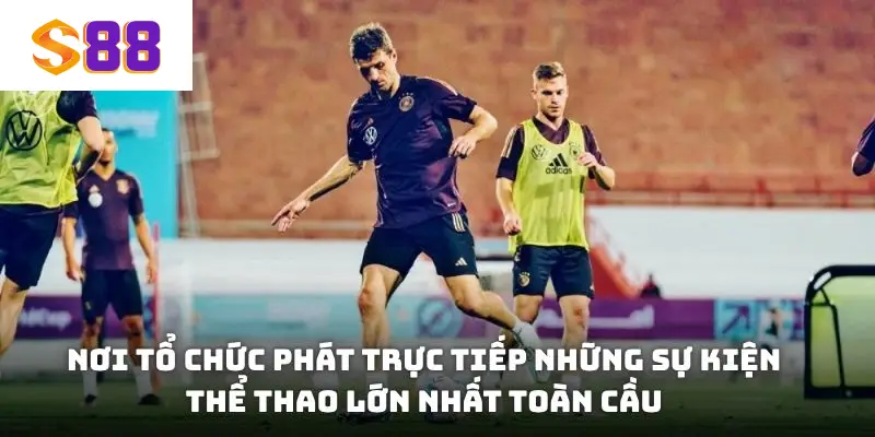 Nơi tổ chức phát trực tiếp những sự kiện thể thao lớn nhất toàn cầu