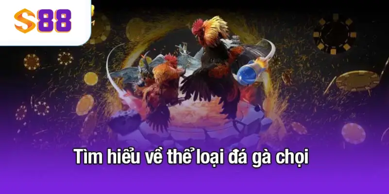 Tìm hiểu về thể loại đá gà chọi