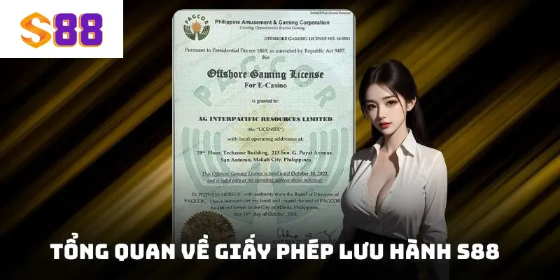 Tổng quan về giấy phép lưu hành S88