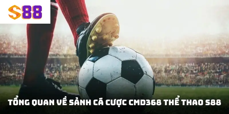 Tổng quan về sảnh cá cược CMD368 thể thao S88
