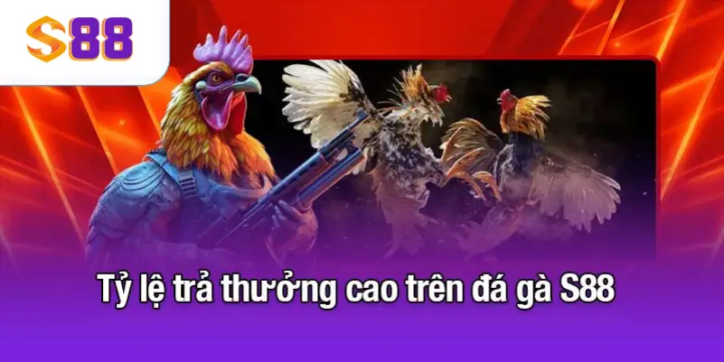 Tỷ lệ trả thưởng cao trên đá gà S88