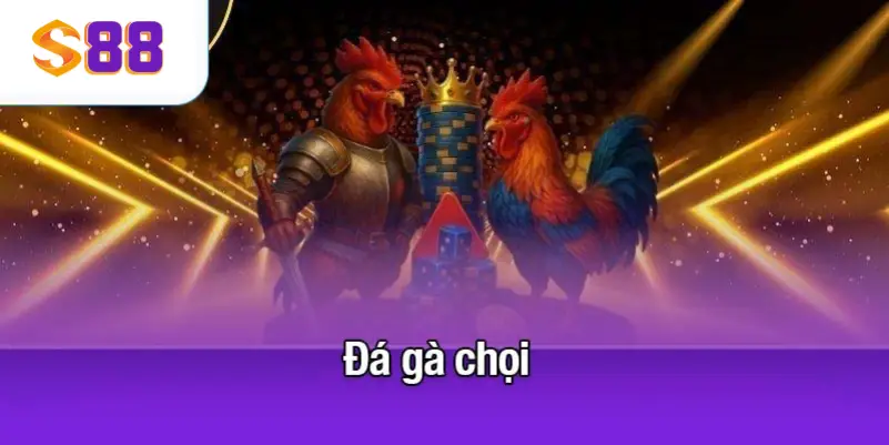 đá gà chọi