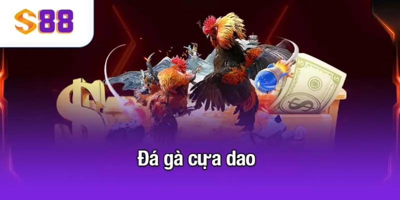 đá gà cựa dao